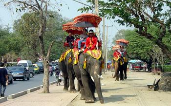 ayutthaya-elephant-palace-royal-kraal